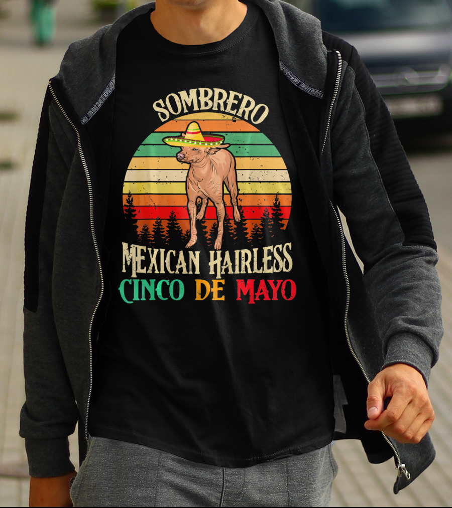 Sombrero Mexican Hairless Cinco De Mayo Vintage Sunset T-Shirt