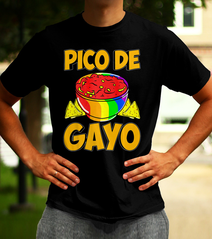 Pico De Gayo Cinco De Mayo Rainbow Salsa Bowl And Tortilla Chips T-Shirt