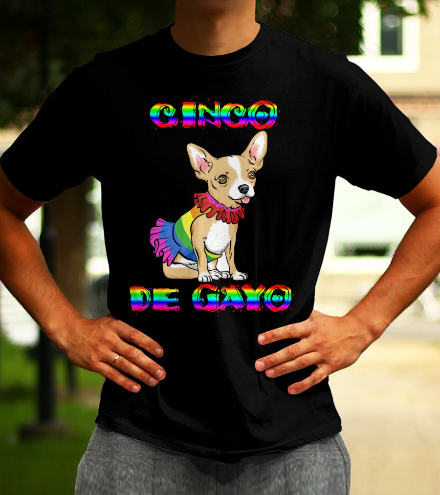 Cinco De Mayo Cinco De Gayo Rainbow Chihuahua T-Shirt