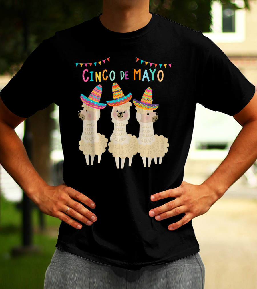 No ProbLlama Cinco De Mayo Llamas In Sombreros T-Shirt