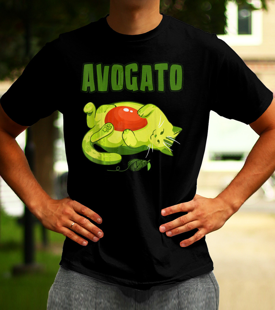 Avogato Cinco De Mayo Funny Meow Avocado Mexico T-Shirt