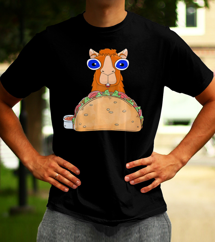 Llama Taco Lover Cinco De Mayo T-Shirt