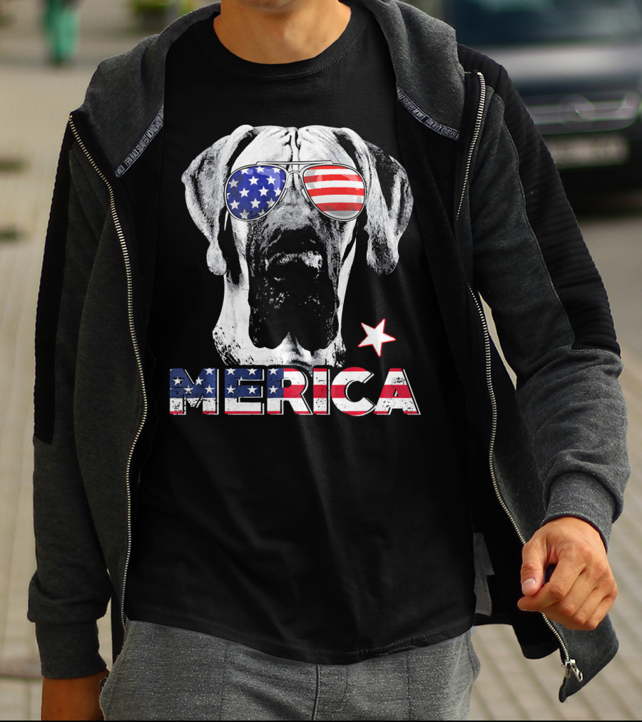 Great Dane 'Merica American Flag Sunglass Star T-Shirt