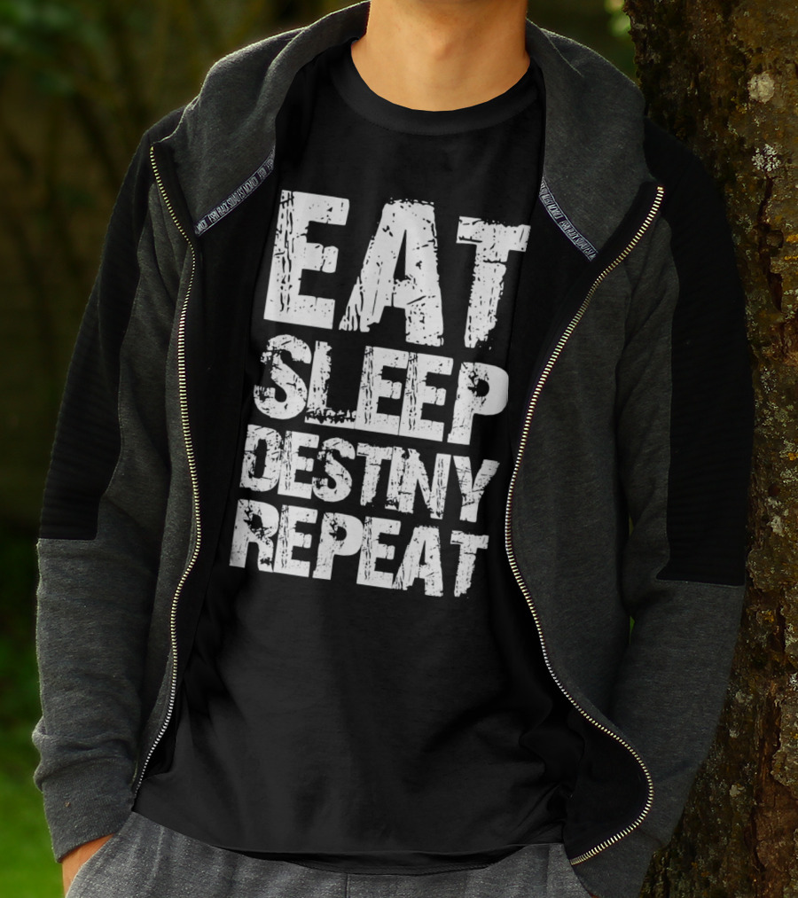 Eat Sleep Destiny Repeat Gaming Lifestyle Routine T-Shirt