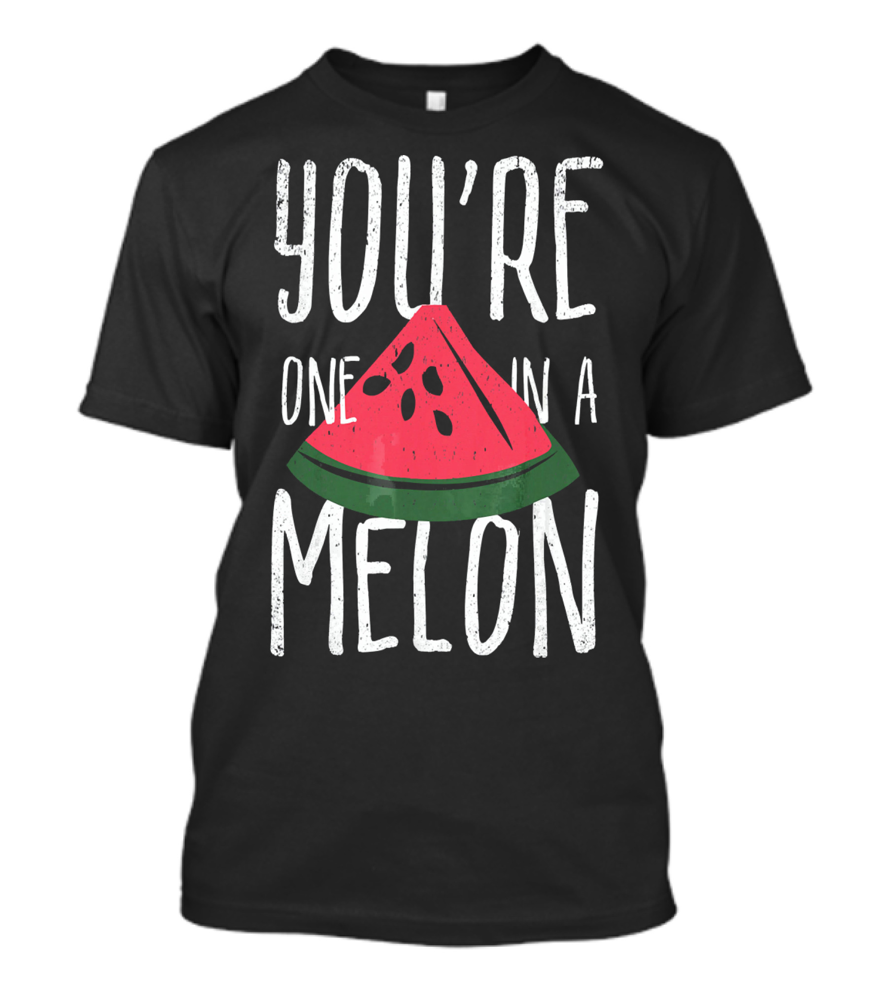You're One In A Melon Watermelon Slice Fun Playful Pun T-Shirt