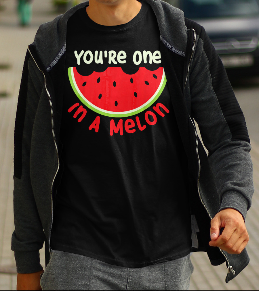 You're One In A Melon Watermelon Vibes T-Shirt
