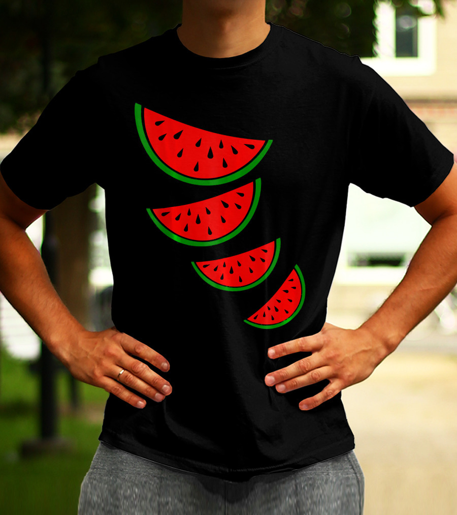Watermelon Pink Green White Slices Diagonal T-Shirt