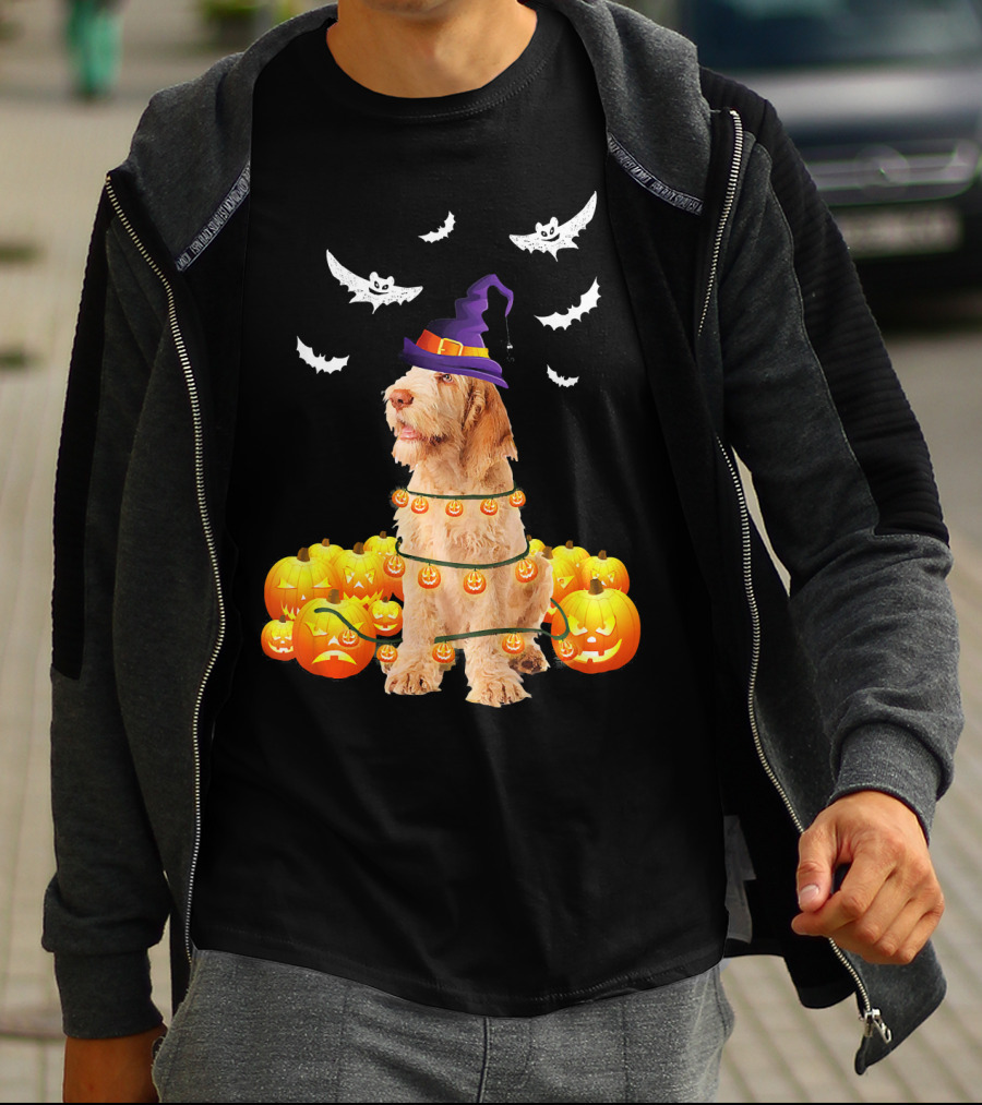 Spinone Italiano Dog Halloween Pumpkin Lights And Bats T-Shirt