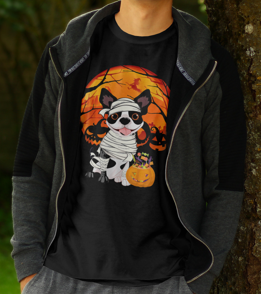 Halloween Kids Boston Terrier Mummy With Pumpkin And Witch T-Shirt