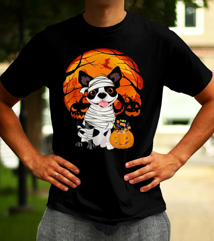 Halloween Kids Boston Terrier Mummy With Pumpkin And Witch T-Shirt