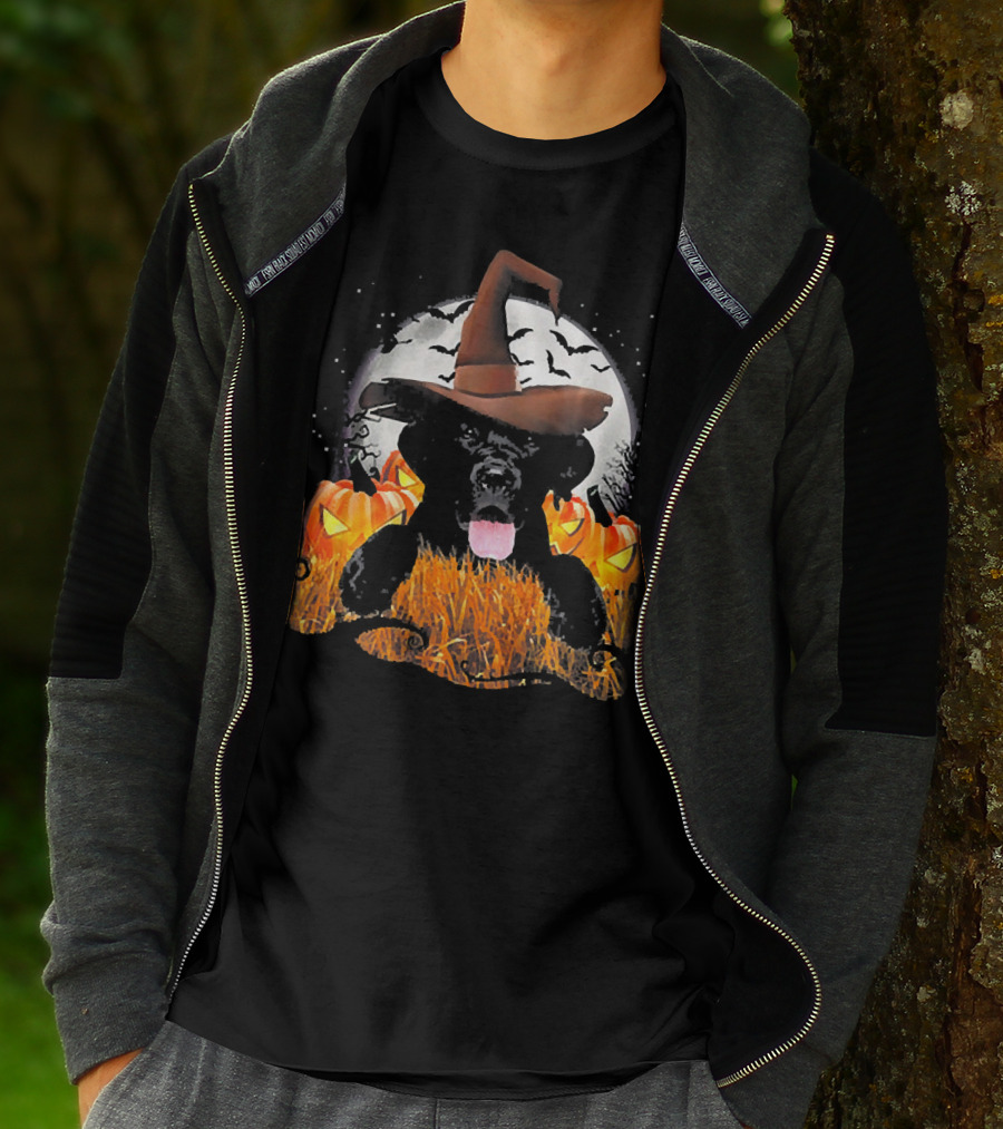 Labrador Halloween Cute Dog Witch With Pumpkin And Moon T-Shirt
