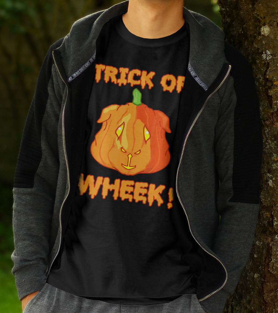 Trick Or Wheek Guinea Pig Jack O Lantern Halloween Fun T-Shirt