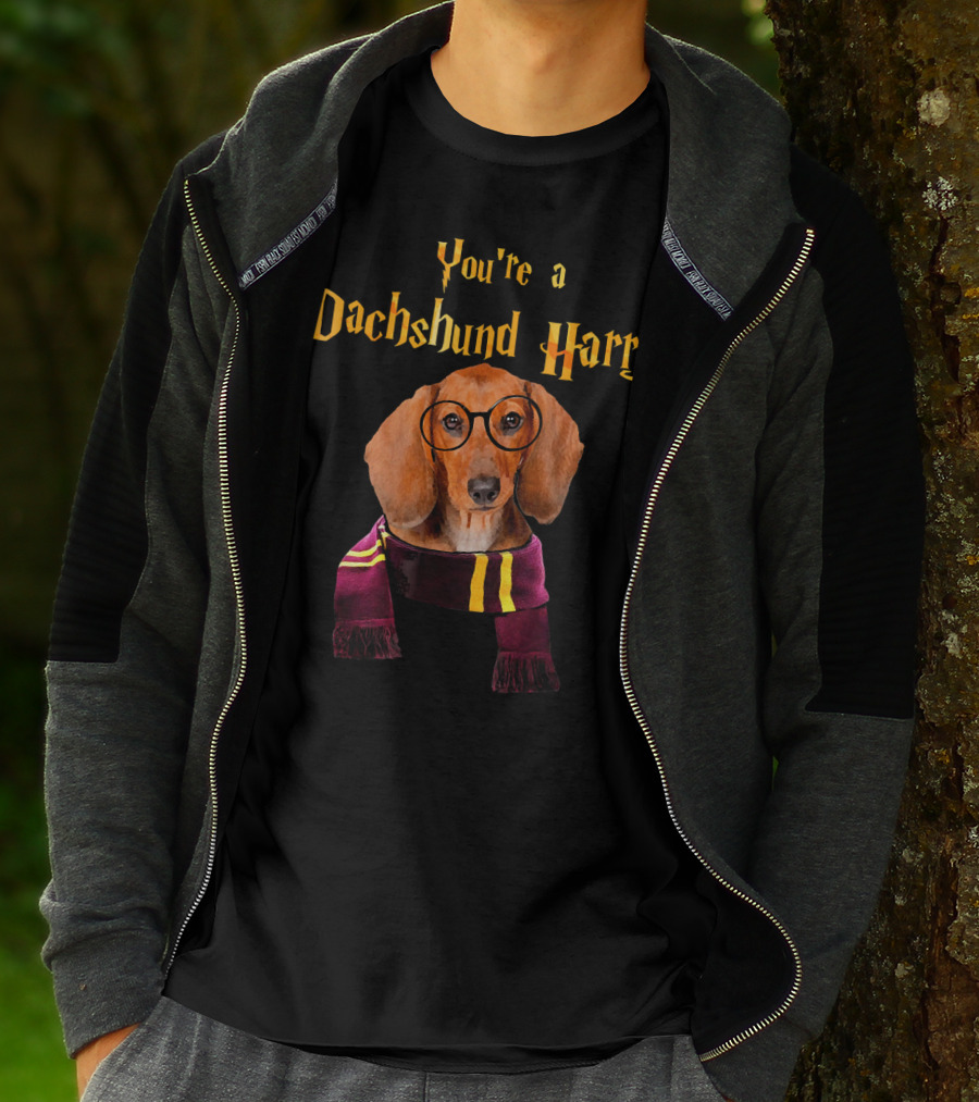 You're A Dachshund Harry T-Shirt