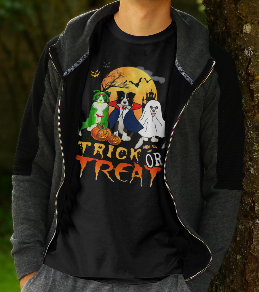 Trick Or Treat Halloween Border Collie Costumes Pumpkins Haunted Moon T-Shirt