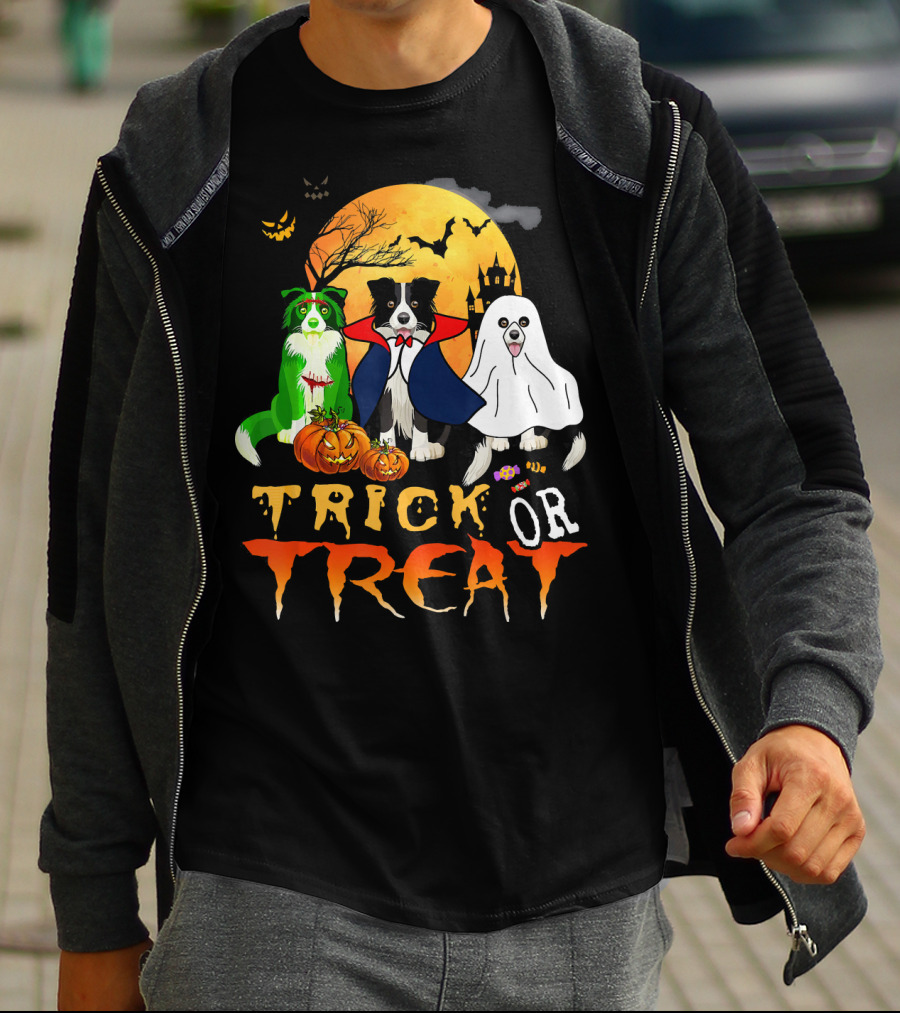 Trick Or Treat Halloween Border Collie Costumes Pumpkins Haunted Moon T-Shirt