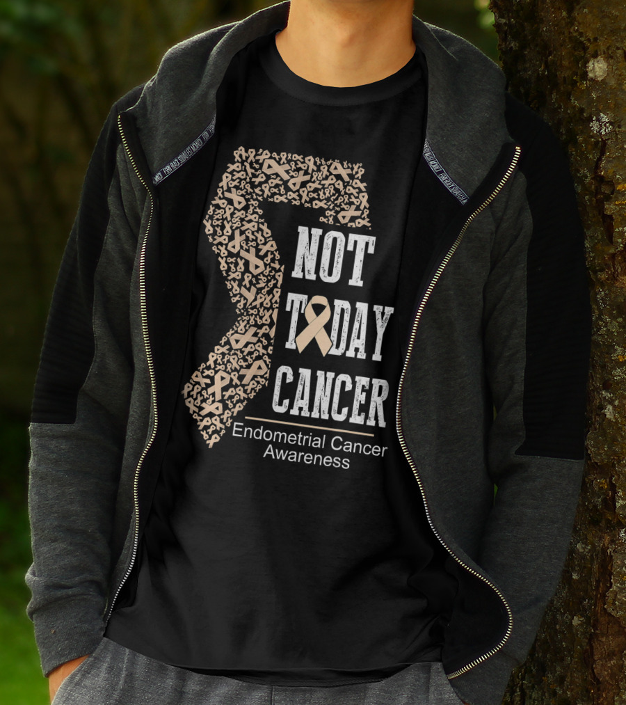 Not Today Cancer Endometrial Cancer Awareness T-Shirt