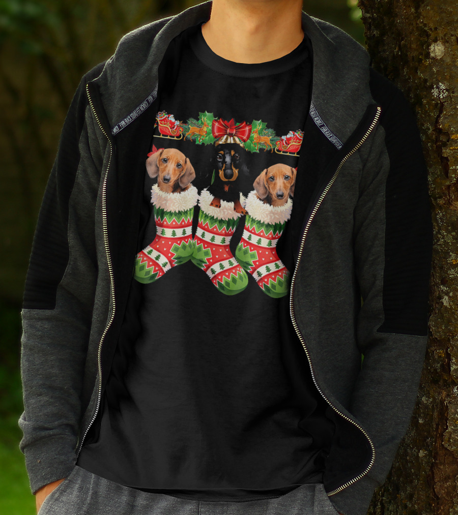 Dachshund Christmas Dogs In Festive Stockings T-Shirt