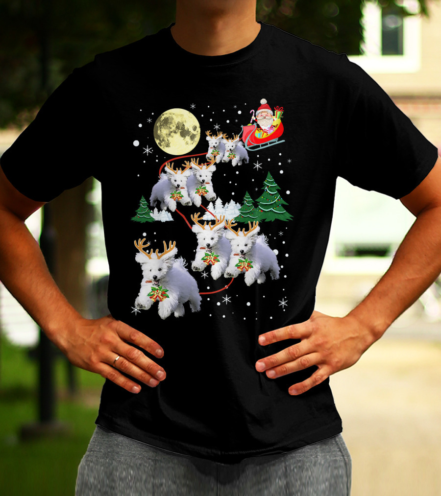 Funny Maltese Christmas Santa Claus Sleigh Reindeer Dogs Pajama T-Shirt