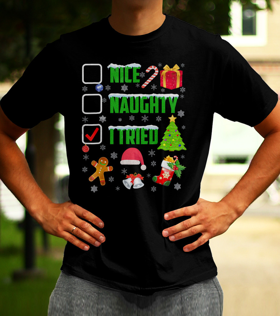 I Tried Nice Naughty Christmas Humor Candy Cane Gingerbread Santa Hat T-Shirt