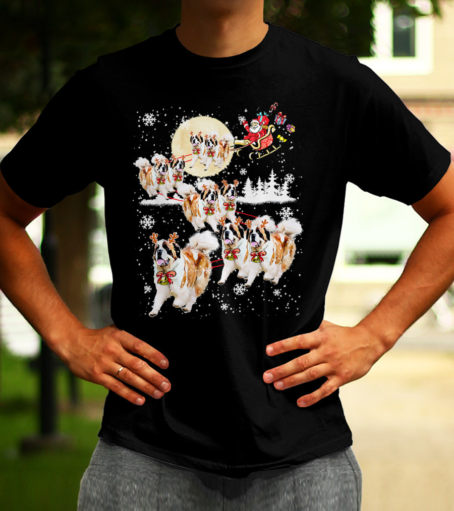 St Bernard Reindeer Christmas Santa Sleigh Nice Dog T-Shirt