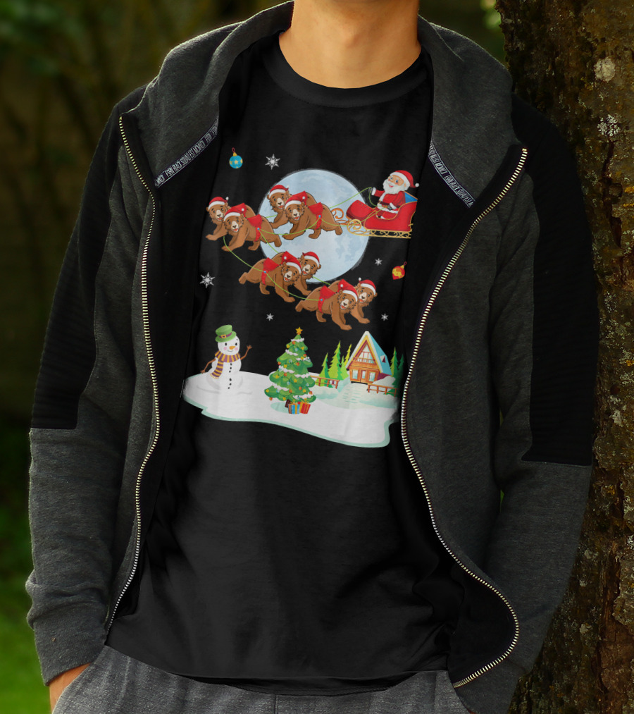 Santa Claus Sleigh With Bears And Snowman By Moonlit Cabin Noel T-Shirt