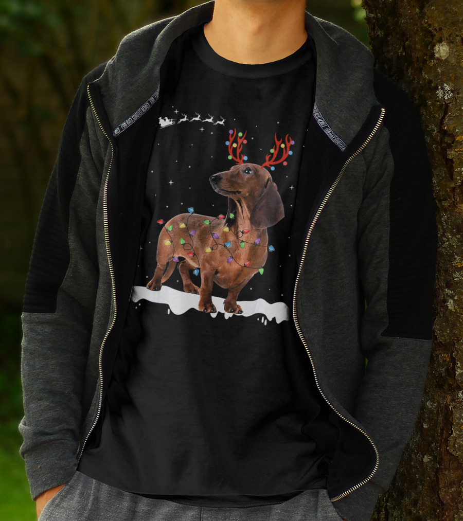Reindeer Dachshund With Holiday Lights And Santa Sleigh T-Shirt