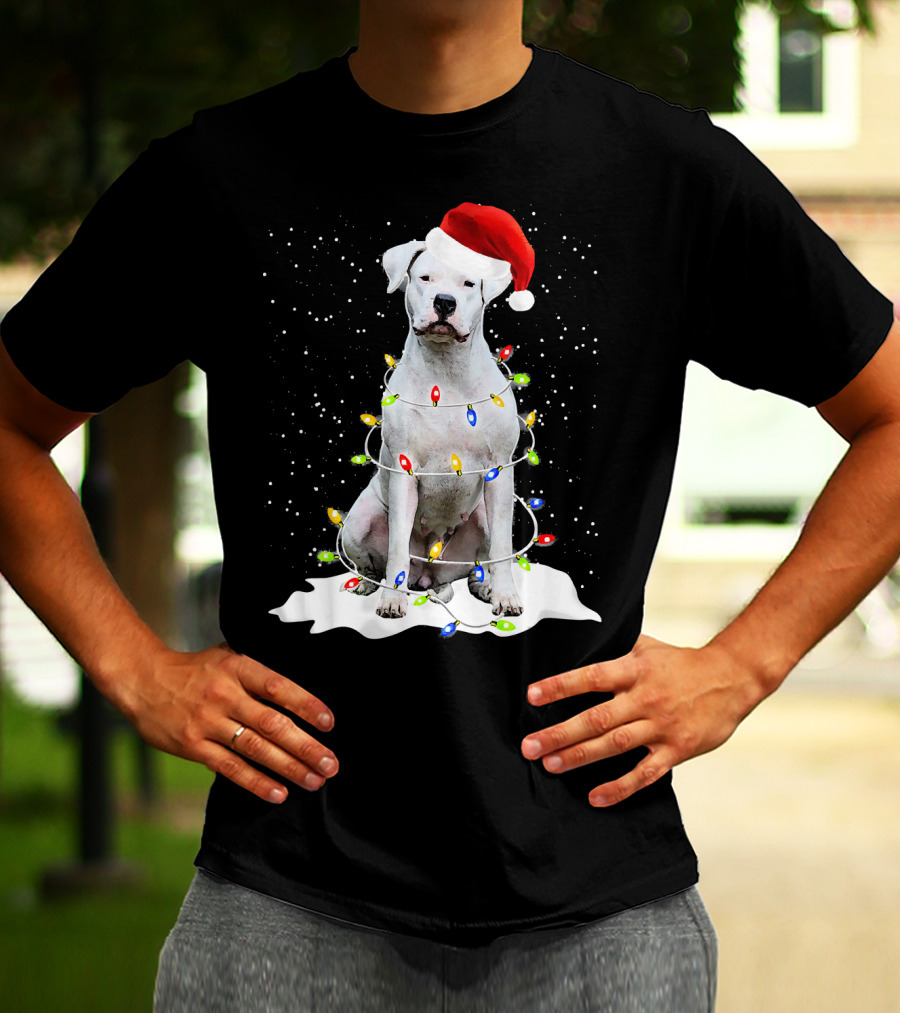 Dogo Argentino Christmas Lights Santa Hat Snow Holiday T-Shirt
