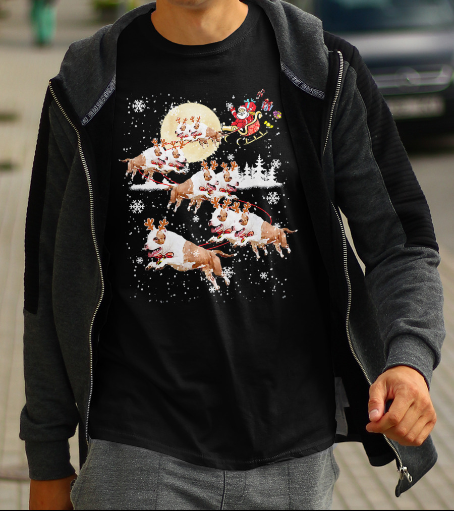 Santa's Christmas Pitbull Reindeer Sleigh Ride T-Shirt