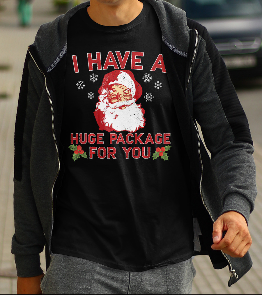 I Have A Huge Package For You Santa Christmas Snowflakes T-Shirt