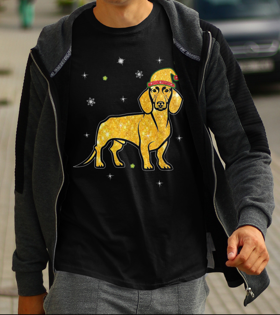 Christmas Lights Glitter Dachshund Dog With Santa Hat And Snowflakes T-Shirt