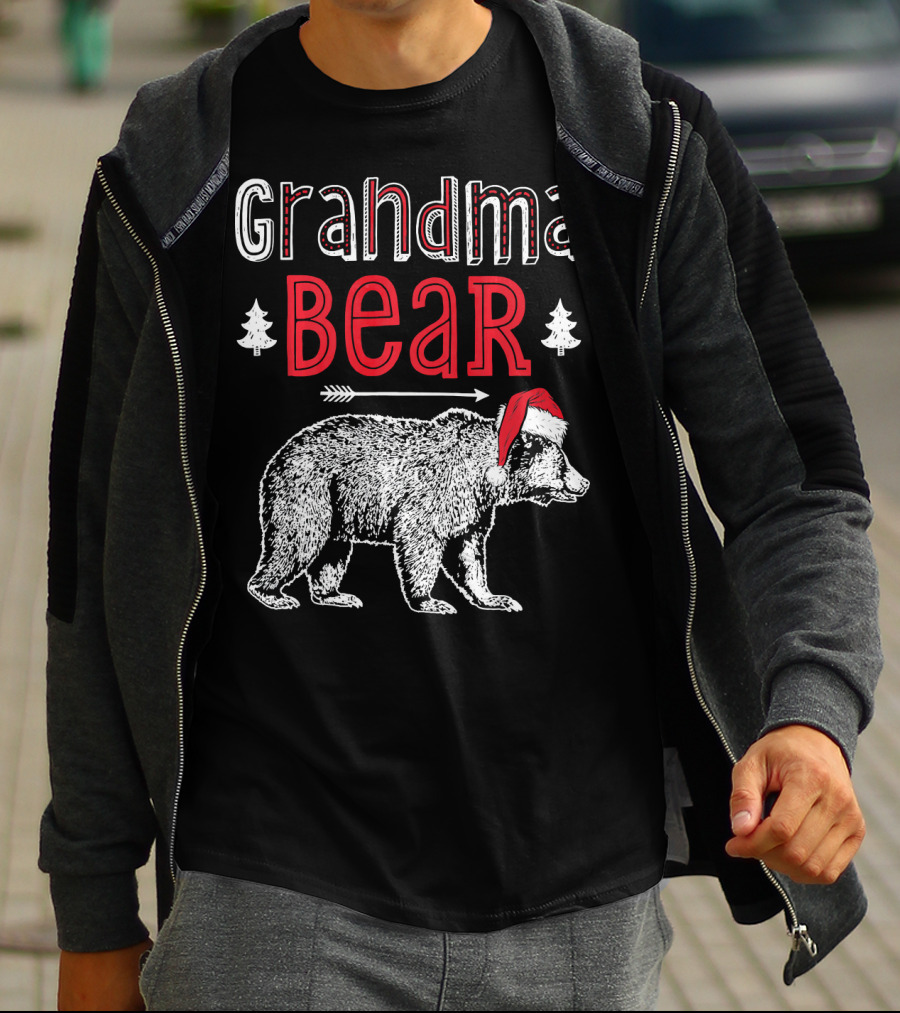 Grandma Bear Christmas Santa Hat Family Holiday Winter T-Shirt
