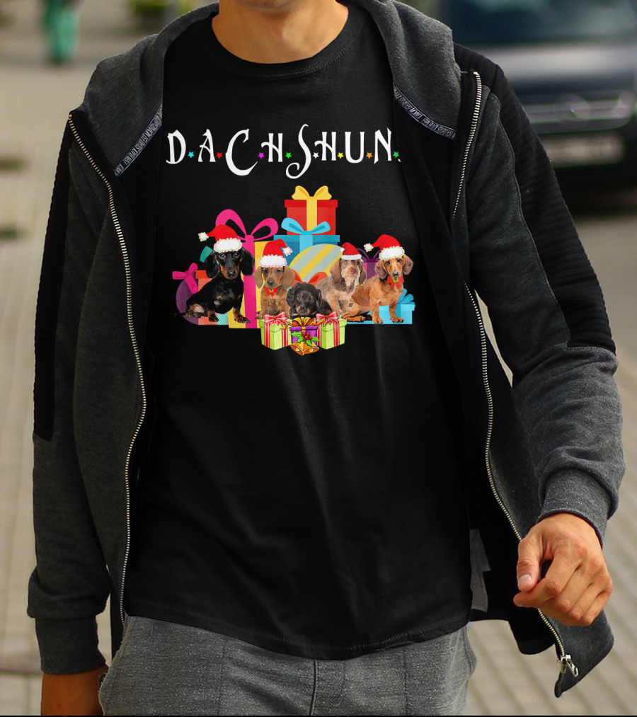 Dachshund Puppies Christmas Santa Hat Gifts T-Shirt
