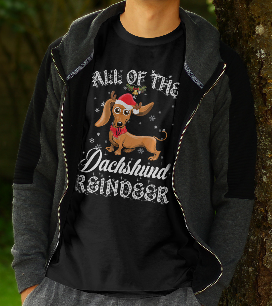 All Of The Dachshund Reindeer Santa Hat Snowflakes T-Shirt