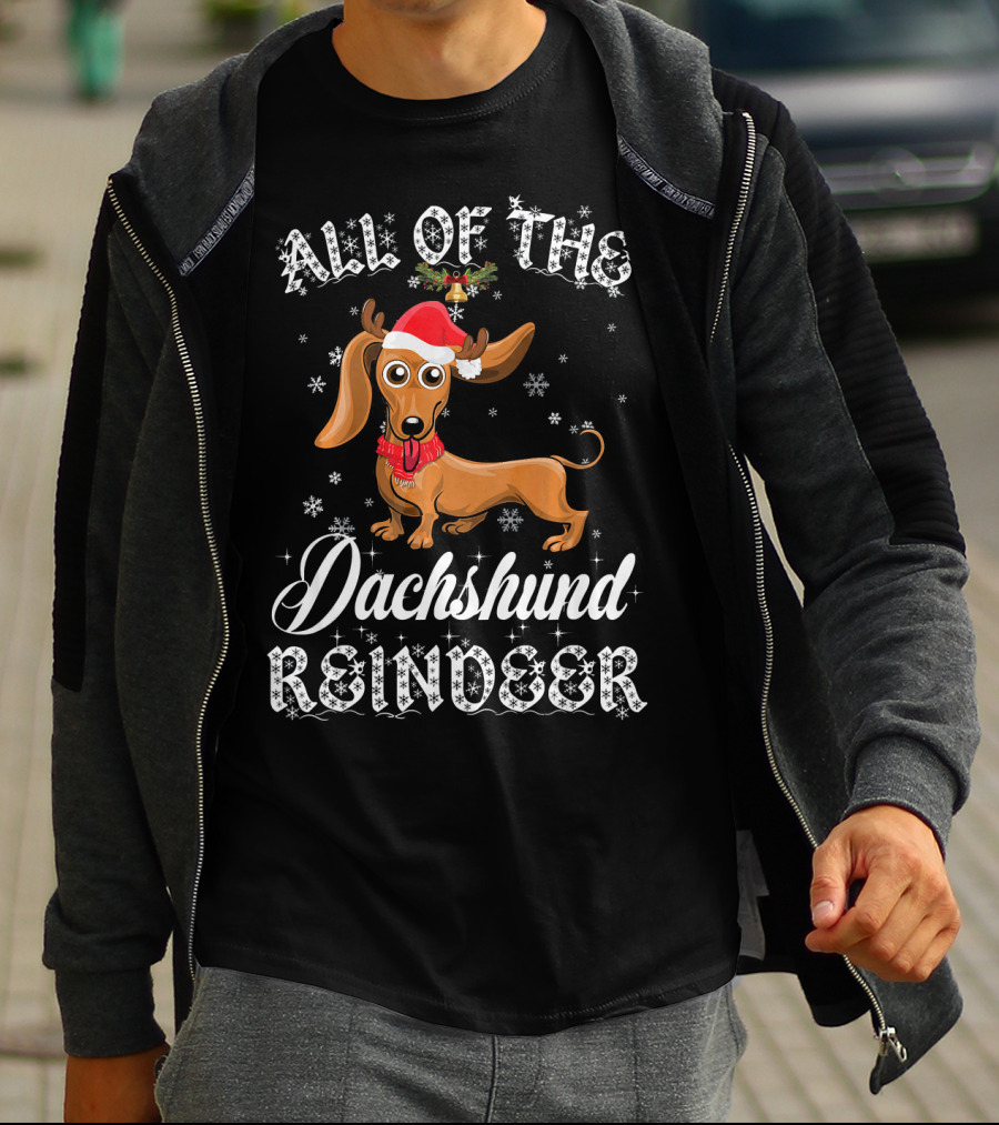 All Of The Dachshund Reindeer Santa Hat Snowflakes T-Shirt