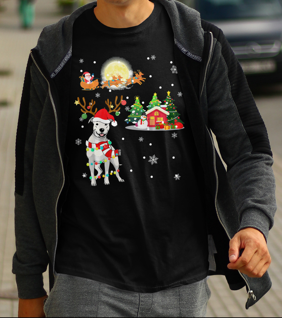 Santa's Sleigh And Festive Dogo Argentino Christmas Wonderland T-Shirt
