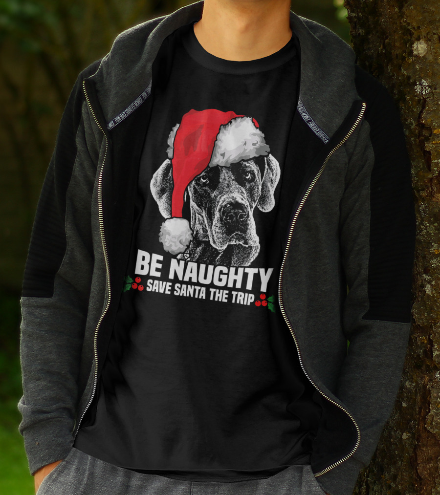 Be Naughty Save Santa The Trip Great Dane Santa Hat T-Shirt