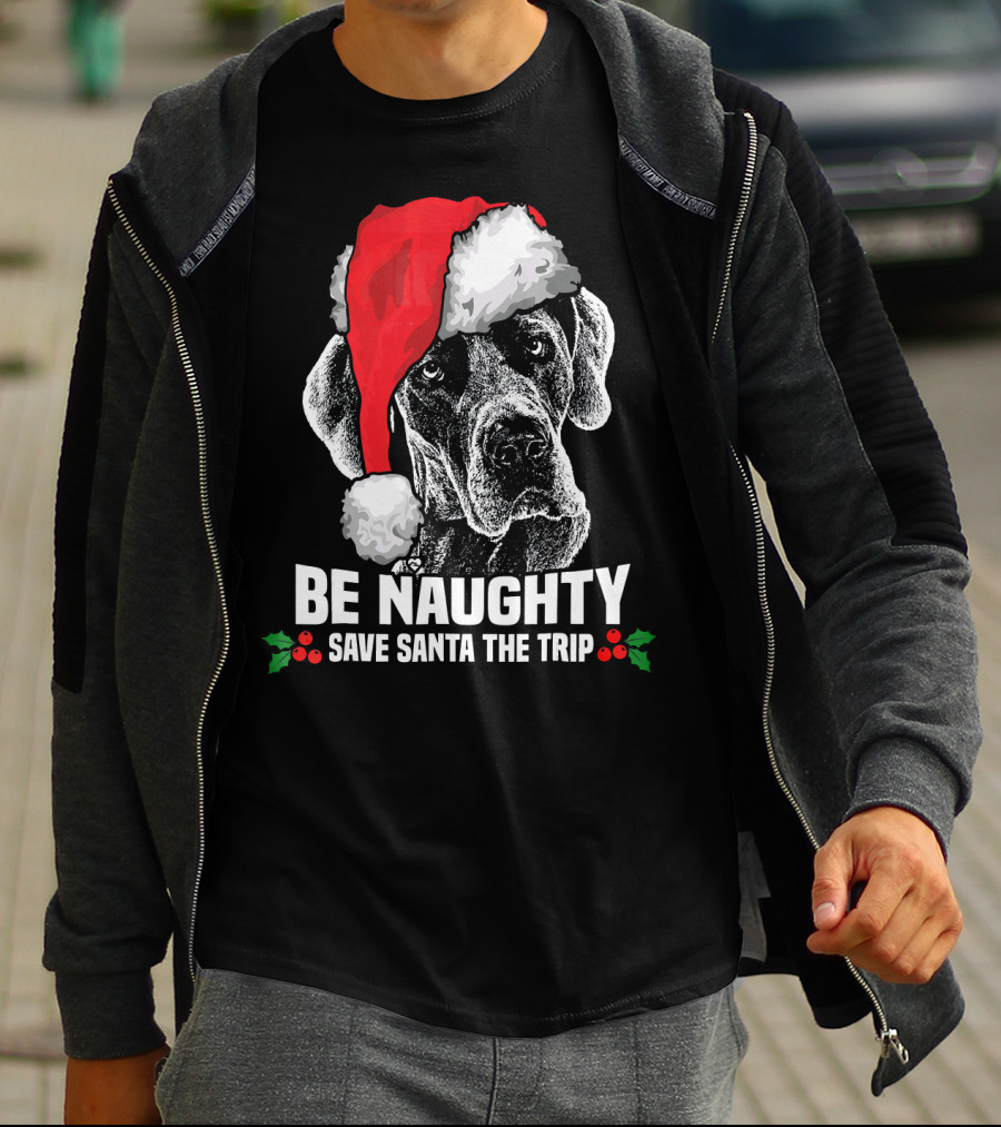 Be Naughty Save Santa The Trip Great Dane Santa Hat T-Shirt