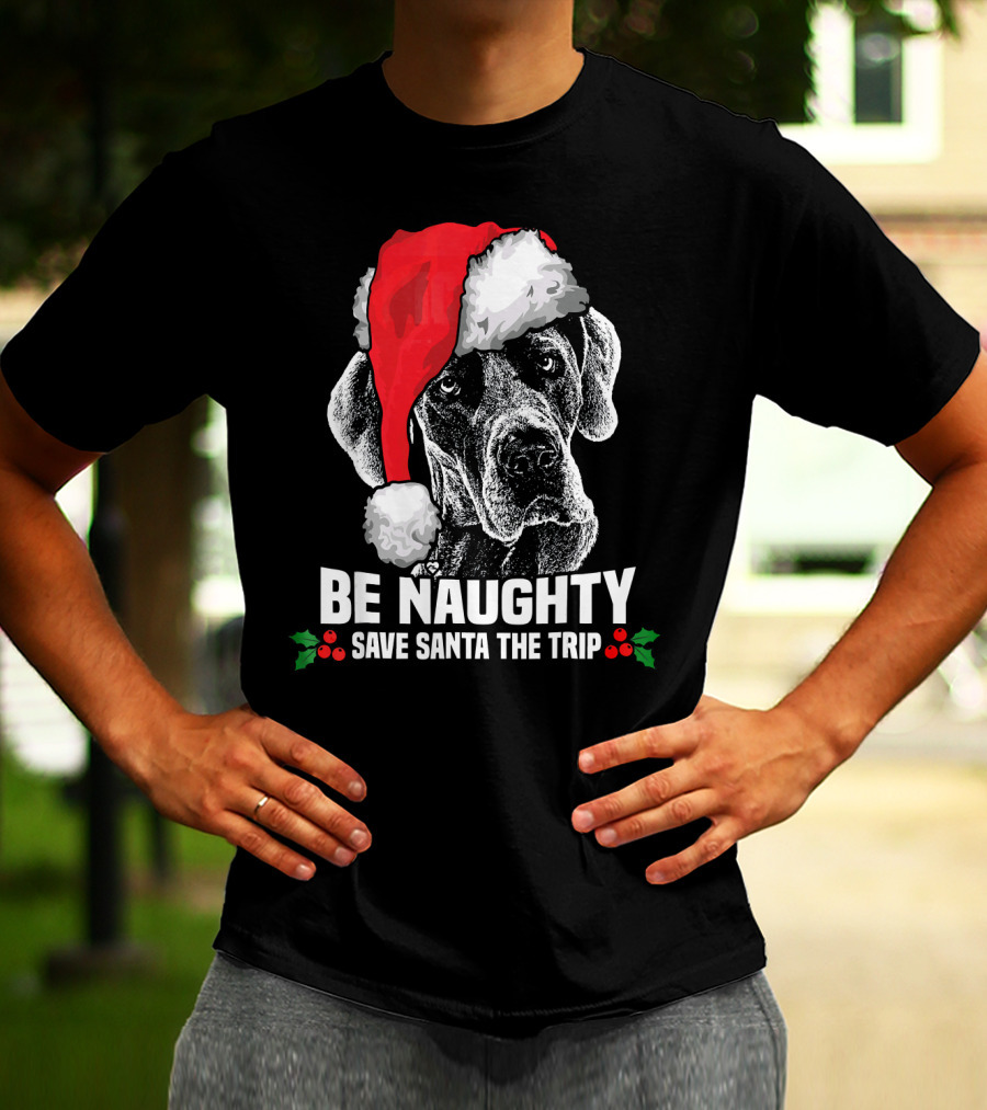 Be Naughty Save Santa The Trip Great Dane Santa Hat T-Shirt