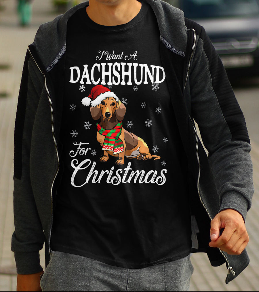 I Want A Dachshund Wearing Santa Hat And Scarf For Christmas Snowflakes T-Shirt