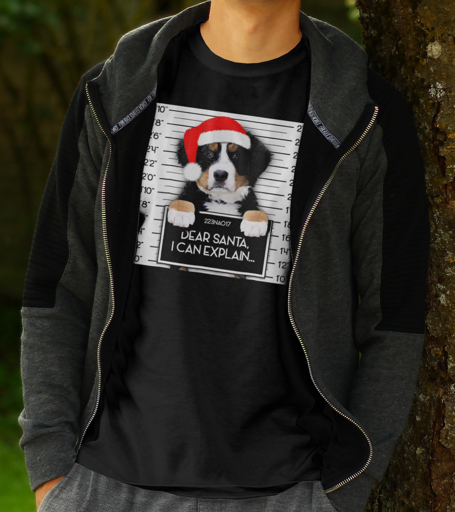 Xmas Bernese Mountain Dog Lover Santa Hat Dear Santa I Can Explain T-Shirt