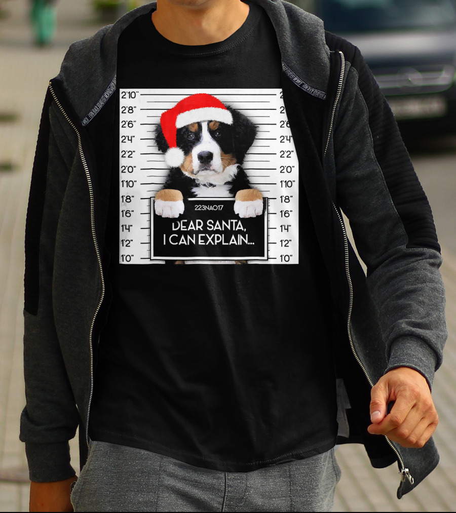 Xmas Bernese Mountain Dog Lover Santa Hat Dear Santa I Can Explain T-Shirt