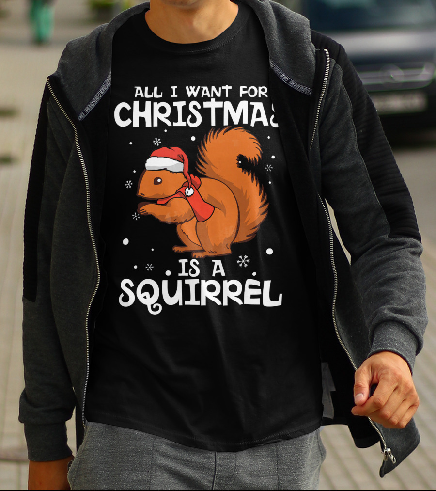 ALL I WANT FOR CHRISTMAS IS A SQUIRREL WEARING SANTA HAT AND SCARF T-Shirt
