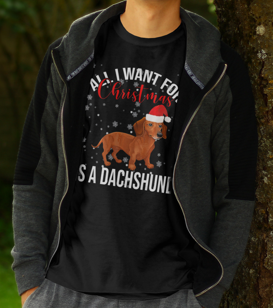 All I Want For Christmas Is A Dachshund Santa Hat Snowflakes T-Shirt