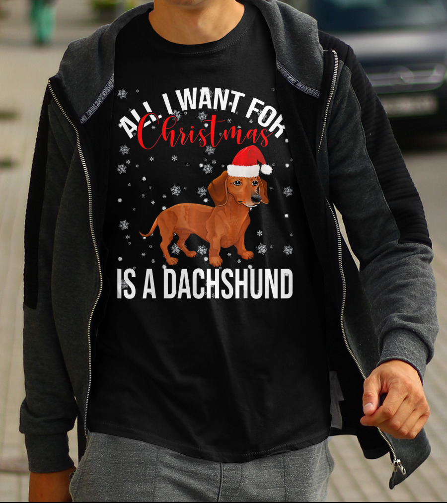 All I Want For Christmas Is A Dachshund Santa Hat Snowflakes T-Shirt