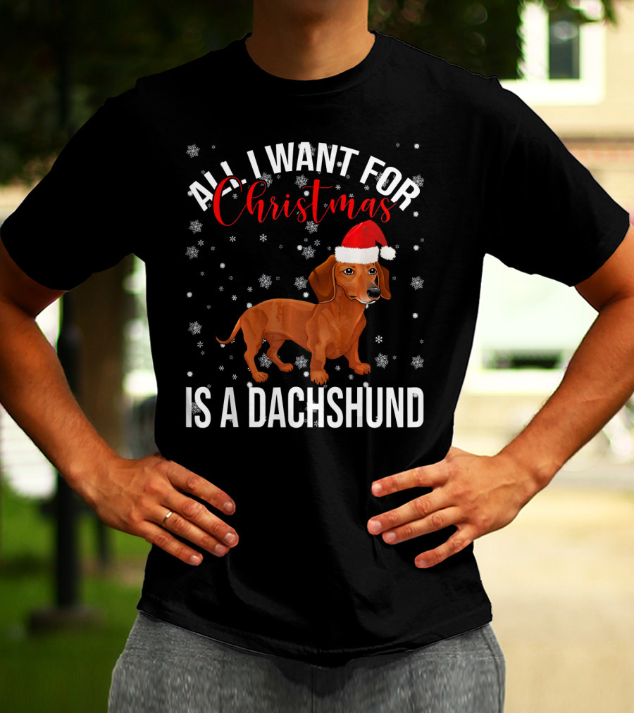 All I Want For Christmas Is A Dachshund Santa Hat Snowflakes T-Shirt