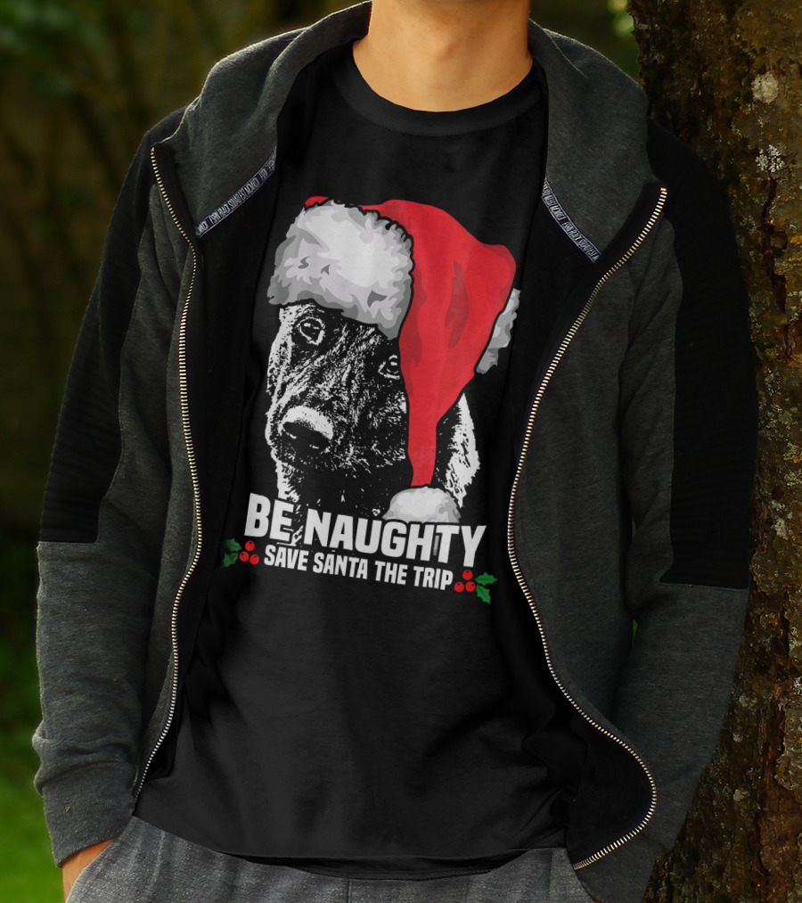 Be Naughty Save Santa The Trip Dutch Shepherd Christmas Santa Hat T-Shirt