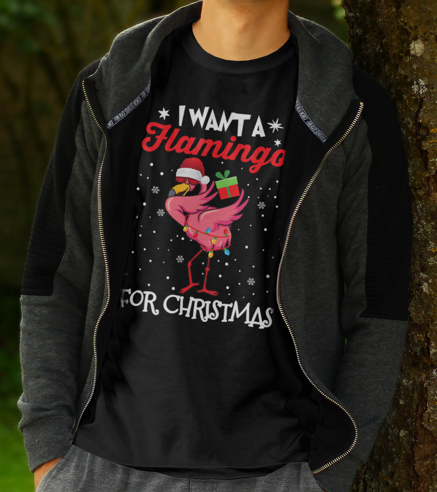 I Want A Flamingo For Christmas Santa Hat Lights Snowflakes Gift Box T-Shirt