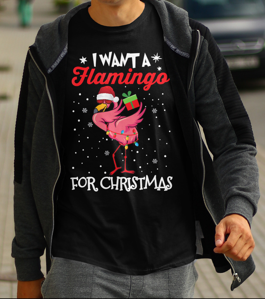 I Want A Flamingo For Christmas Santa Hat Lights Snowflakes Gift Box T-Shirt