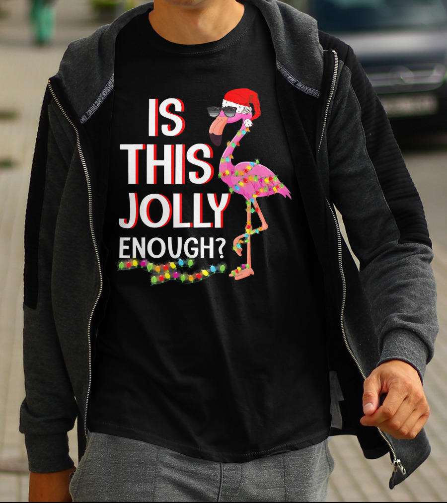 Is This Jolly Enough Flamingo Christmas Lights Santa Hat Sunglasses T-Shirt