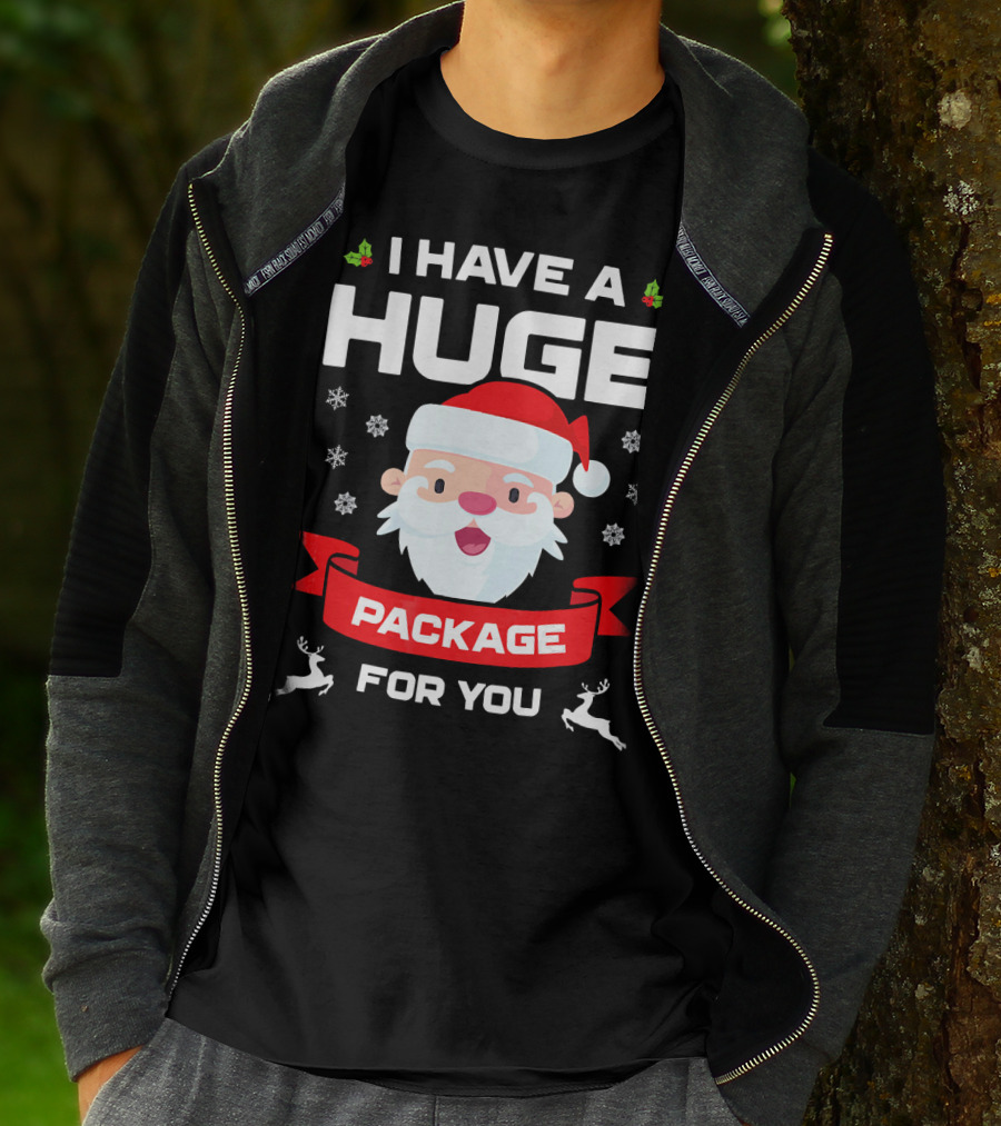 I Have A Huge Package For You Santa Snowflakes Reindeer Christmas T-Shirt
